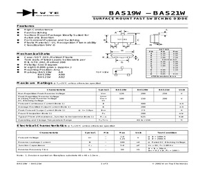 BAS21W-T3.pdf