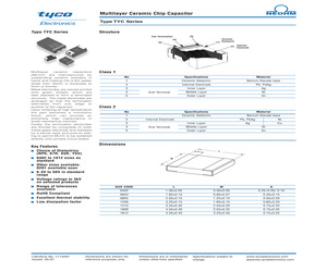 TYC0402B103KDT (2-1676864-5).pdf