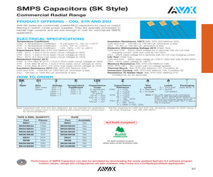 SK032A622JAA.pdf