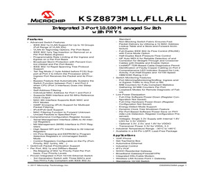 KSZ8873RLLI.pdf