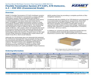 C1210X682MAGALTU.pdf