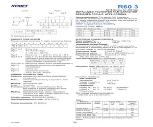 R603N3560400-K.pdf