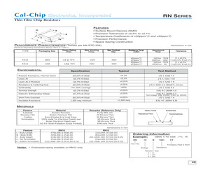 RN10B9200CT-LF.pdf