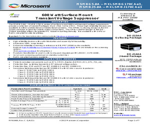 MSMBJ15A.pdf