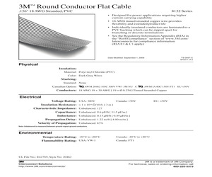 8132/06-100.pdf