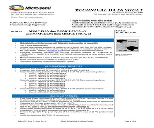 MASMCJ100CAE3TR.pdf