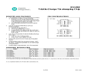 DS1302+.pdf