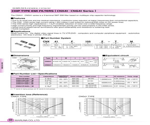 CNG41R184S-TM.pdf