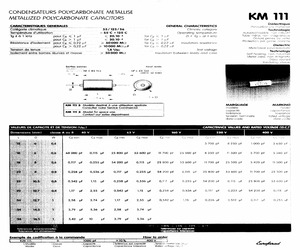 KM111A1.17163.pdf