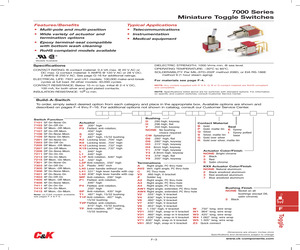 7101TPHASE.pdf