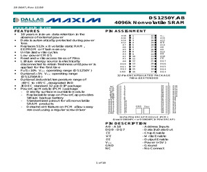 DS1250Y-100IND.pdf