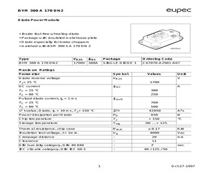 BYM300A170DN2.pdf