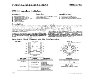 DG301AAK.pdf