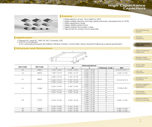 CL21X105KAFNNNE.pdf