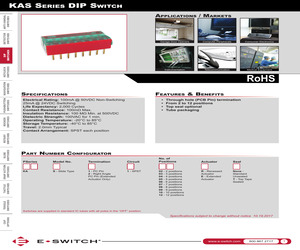 KAS1103R.pdf