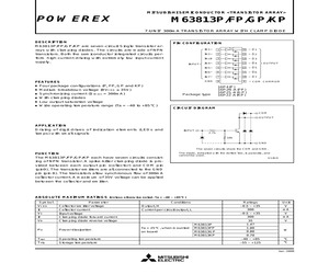 M63813P.pdf