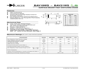 BAV20WS-T1.pdf