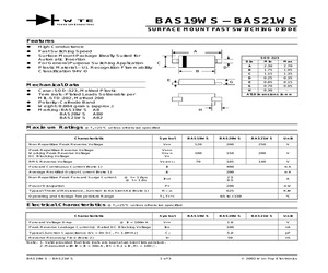BAS21WS-T1.pdf