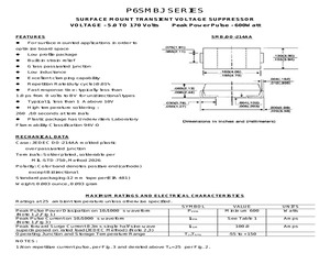 P6SMBJ100CA.pdf