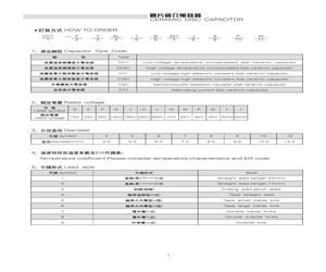 CT1-L6Y5P3D161ZSPW.pdf