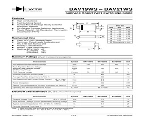 BAV20WS-T3.pdf