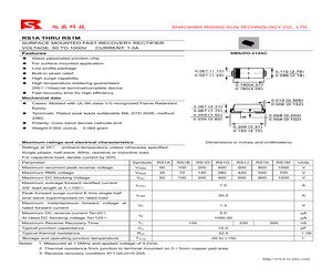 RS1D.pdf