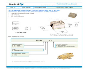 R516433100.pdf