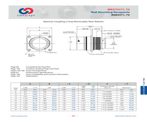 M83723/71R22197.pdf