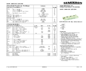 SKM100GB125DN.pdf