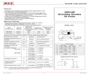 BAT42WTP.pdf